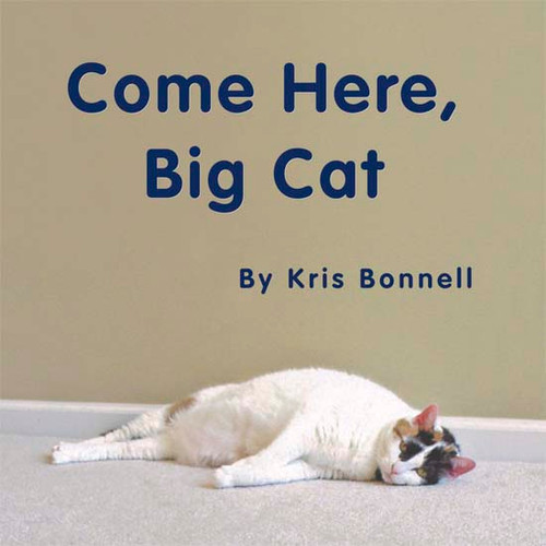 Come Here, Big Cat Level D/4 RR Books