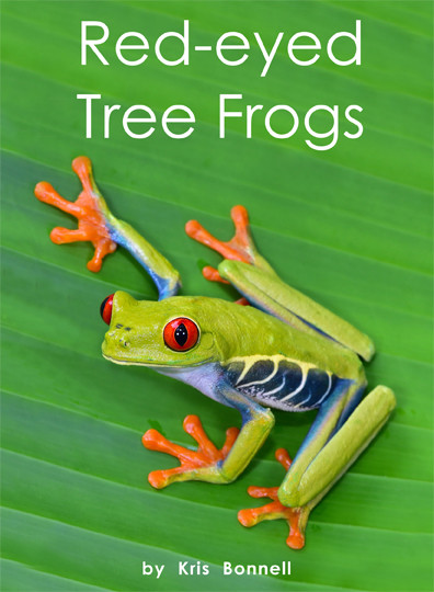 Red-eyed Tree Frogs - Level H/13 - RR Books