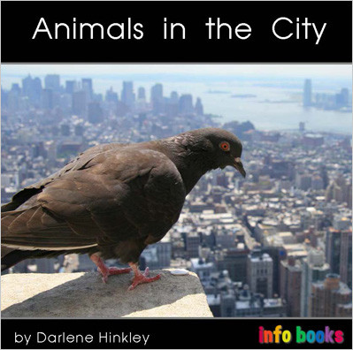 Animals in the City - Level A/1 - RR Books
