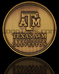 Custom Challenge Coin 061