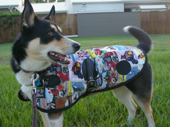 Winter is Coming...... Lets prepare our Dogs, and pets, for the Colder Months ahead!