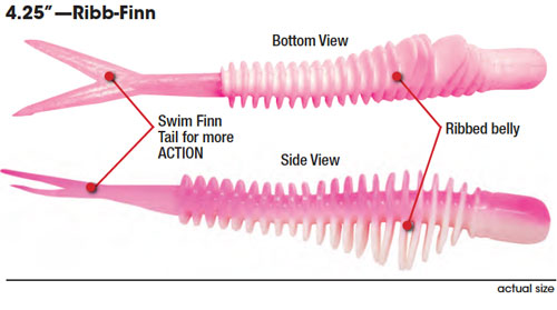 4.25" ribfins (ribb-finn)