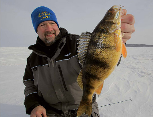 Slender Spoon Ice Fishing Jumbo Perch 