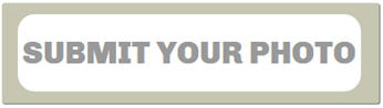 Click Here to Submit Your Photo Click Here to Submit Your Photo