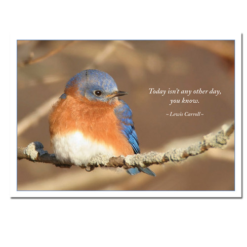 New Year's Cards for Business – Wintering Bluebird