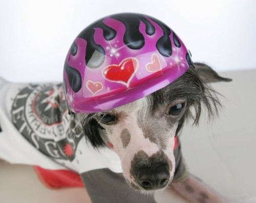 Airbrushed Purple GLitter Flames Dog Helmet