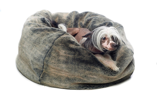 Faux Fur Bean Bag Style Dog Bed