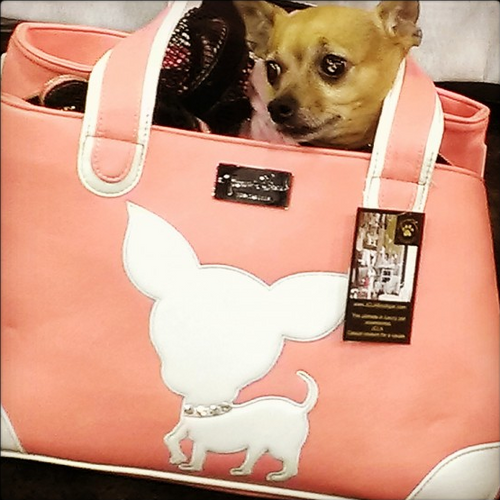 Te Quiero Chihuahua Rescue Me Tote