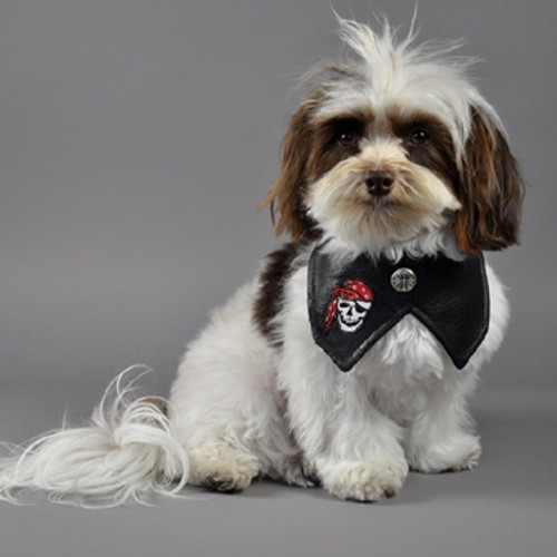 Faux Leather Biker Dog Bandana