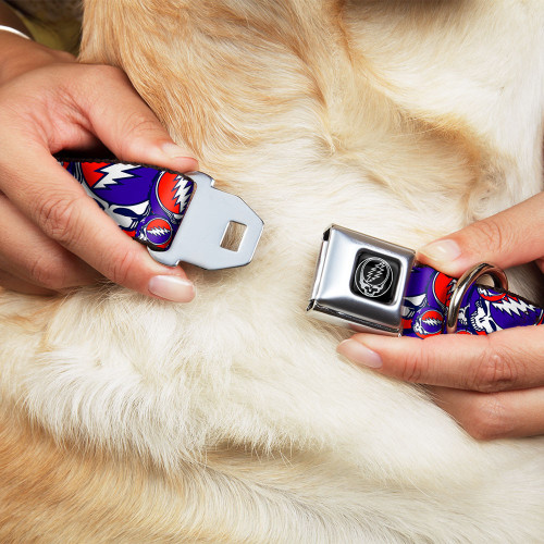 red white blue steal your face dog collar