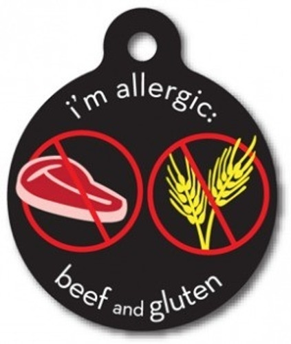 Beef and Gluten Allergy Medical Alert Dog ID Tag
