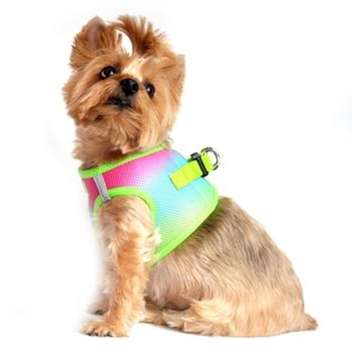Choke Free Ombre Mesh Dog Harness - Rainbow