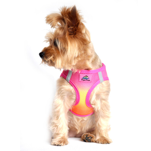 Choke Free Ombre Mesh Dog Harness - Raspberry Pink Orange