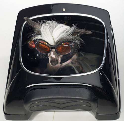 Motorcycle Pet Carrier