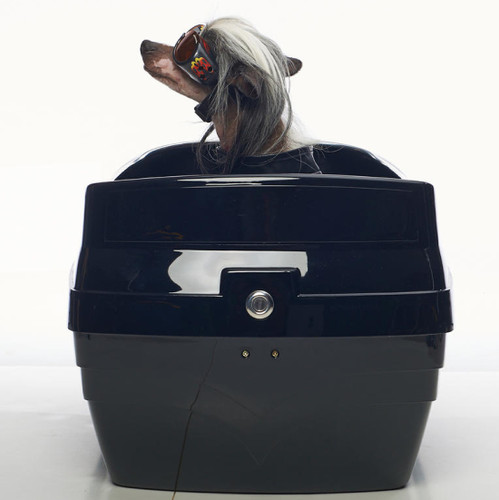 Motorcycle Pet Carrier