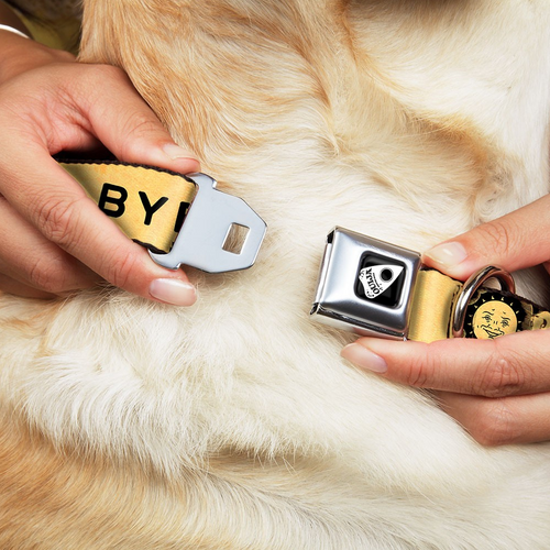 Ouija Board Dog Collar