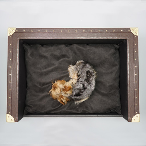 The Trunk Bed - Yorkshire (many colors, Faux Leather, Large)