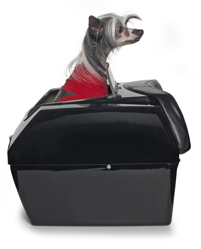 Large Motorcycle Dog Carrier