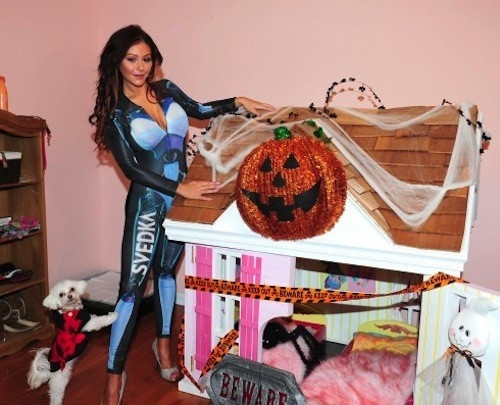 Jwoww Dog House