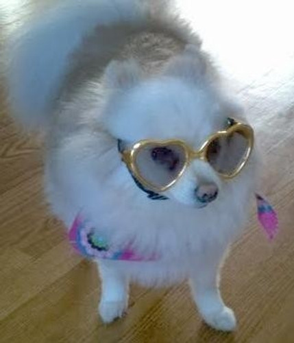 Gold Heart Shaped Dog Sunglasses