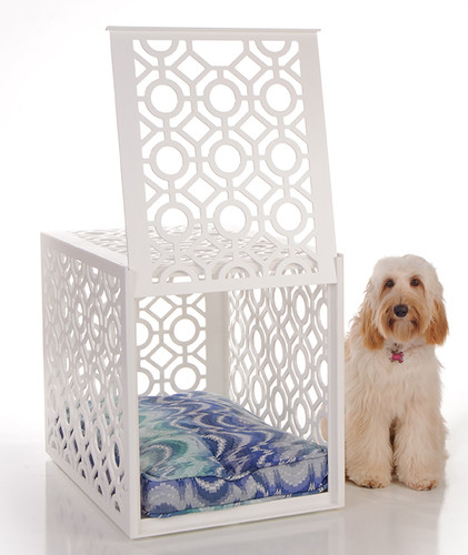 designer dog crate