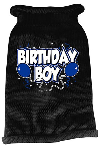 birthday boy dog sweater