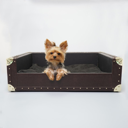Should You Let Your Dog Sleep with You?
